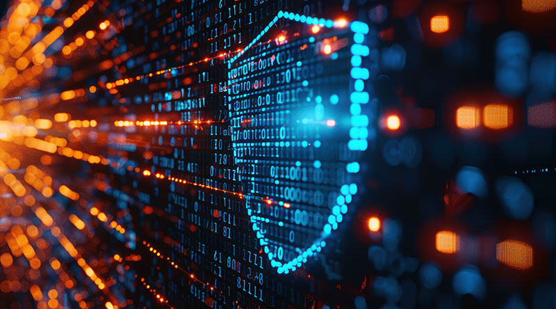 Administración de vulnerabilidades y protección digital